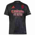 Tailandia Camiseta Benfica 2ª 2024-2025